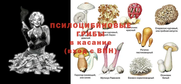 ГАЛЛЮЦИНОГЕННЫЕ ГРИБЫ Балахна